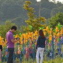 잔디밭 이미지