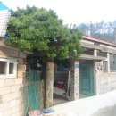 만복민박 이미지