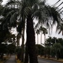 그랑빌가족호텔 이미지