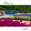 화랑마을-4 티스토리