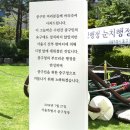 그늘막4 이미지