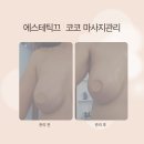에스테틱끄코코