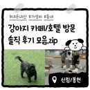 사랑네 애견미용 호텔 | [내돈내산] 신림/봉천 근처 강아지카페&amp;애견호텔 비교 옥상있는 곳/24시간 강아지호텔 모음.zip
