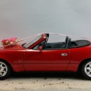 [TAMIYA] 1/24 Eunos Roadster 이미지