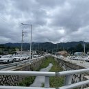 장수떡방앗간 | 장수 한우랑 사과랑 축제 후기, feat 흑백요리사, 케이시 공연 등!