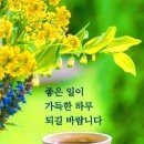 예쁜하루 이미지