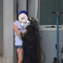 한진카센타 이미지