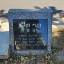 도화서가