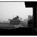 대지를 바라보며 이미지