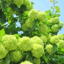 성지병원 이미지