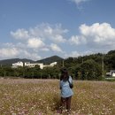 타임스테이 서종 | [숙소] 양평 비바코 촌캉스 – 몸빼바지 입고 불멍까지 완벽했던 하루