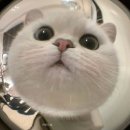 서이 이미지