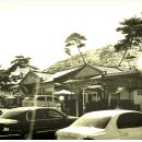 다솜차반 이미지