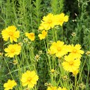 수목원 입구 이미지