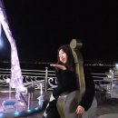 소문난전라도횟집