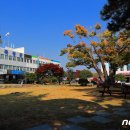 곡성-251 뉴스1
