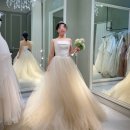 아시아드몰 | 인천아시아드 촬영드레스 9벌 예복 5벌 피팅 및 셀렉 후기 영상도 첨부