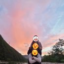 백두대간한옥펜션 이미지