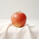 팜팜코퍼레이션