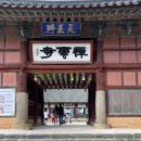 반송곰탕정식 - 해운대구 아랫반송로27번길 7 | 이서구, 그리고 선운사(도솔산) 도솔암 마애미륵불(마애여래좌상), 선운사 꽃무릇 상사화 그리고 나주곰탕