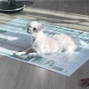 판소리 교실 | 수능 후기