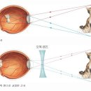 Can you really see?.........(추가수정본) 이미지