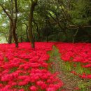 벽산동신점 이미지