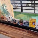 또아리하우스 이미지