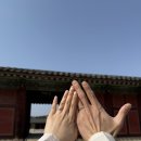 조작가스냅 | [결혼준비 #11] 창경궁 한복스냅 / 조작가스냅