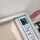 세담방 이미지