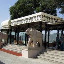 타지펠리스 이미지