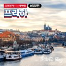 황금회축산시장 | 12월 크리스마스 시즌부터 새해 맞이 카운트다운까지 1주일간의 체코 프라하 여행