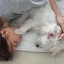 똘똘이문구 - 평택시 진위서로 87 | 똘똘이문구