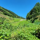 발구덕입구 이미지