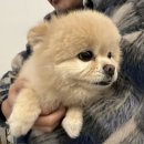청라썬더홀덤