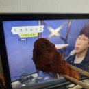 교촌치킨신안 이미지