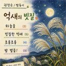 짬 날 땐 짬동시 「억새의 빗질」 이미지