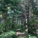 고길동 캠핑장 이미지