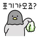 새솔미트 이미지
