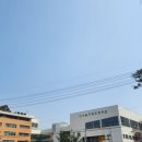 서울장월초등학교 이미지