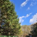 화천상회 이미지