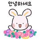 하씨토종흑돼지 이미지