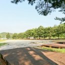 홍천강 자라바위 오토캠핑장 이미지