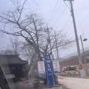 남기동길 이미지