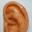 토당한의원 이미지