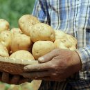 서강농장 이미지