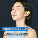 383 | 러닝 운동필수템 노이즈캔슬링 블라우풍트 오픈형 블루투스 이어폰 BLP-OE383추천 후기