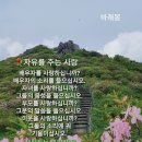 00[세상사(世上事) 뜻대로 해도 어긋남이 없는가] 이미지