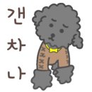 뛰뛰 강아지 놀이터 이미지