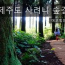 에코힐링